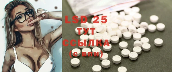 стаф Алзамай