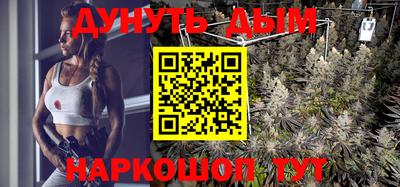 гашик Краснознаменск