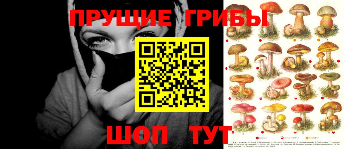Псилоцибиновые грибы Psilocybine cubensis  Вход с VPN  Коломна 